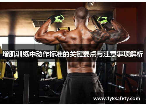 增肌训练中动作标准的关键要点与注意事项解析