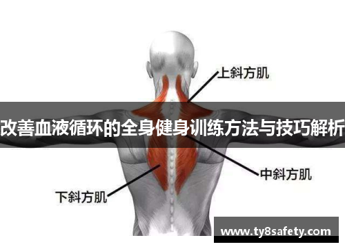 改善血液循环的全身健身训练方法与技巧解析